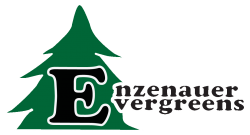 Enzenauer Evergreens